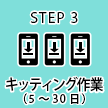 STEP3 キッティング作業(5~30日)