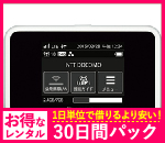 【法人限定】【30日レンタルパック】ドコモ HW-02G