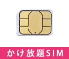 【法人専用】【30日パック】SIMのみ かけ放題音声回線 
